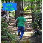 DIY bug repellent