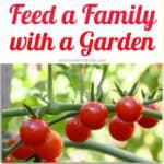 feed a family with a garden